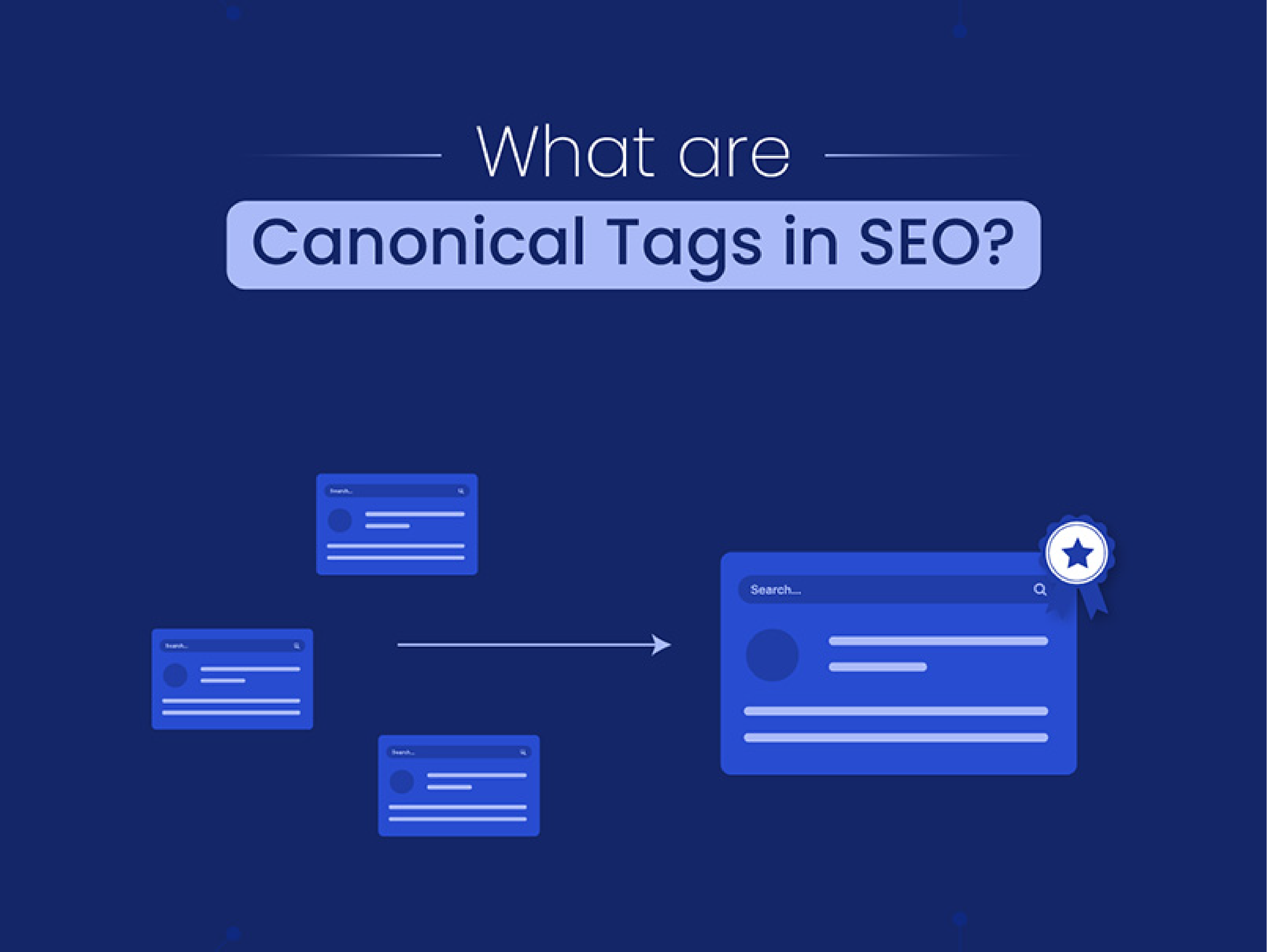 Canonical Tags In SEO
